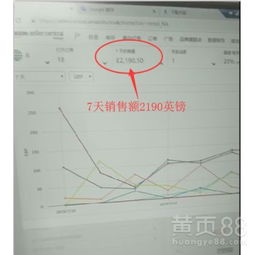 【环球跨境电商erp系统,亚马逊无货源erp系统代理,个人开店,公司加盟】-