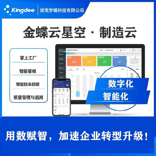 岳阳大型企业专属ERP系统 金蝶软件定制开发解决方案